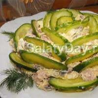 Салат с ветчиной и сыром —17 рецептов приготовления дома